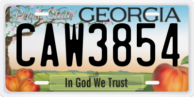 GA license plate CAW3854