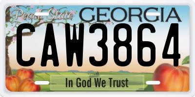 GA license plate CAW3864