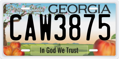 GA license plate CAW3875