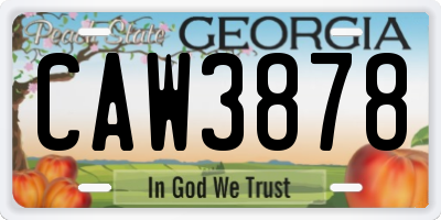 GA license plate CAW3878