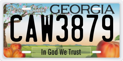 GA license plate CAW3879