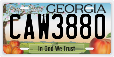 GA license plate CAW3880