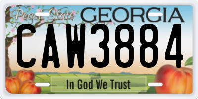 GA license plate CAW3884