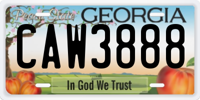 GA license plate CAW3888