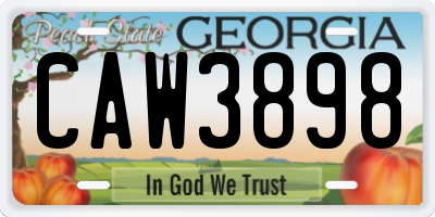 GA license plate CAW3898