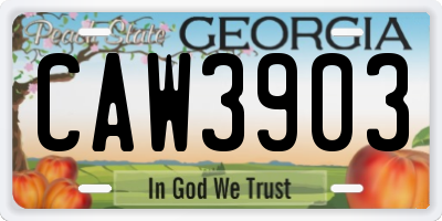 GA license plate CAW3903