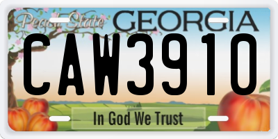 GA license plate CAW3910