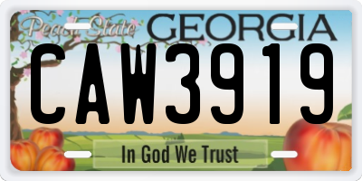 GA license plate CAW3919