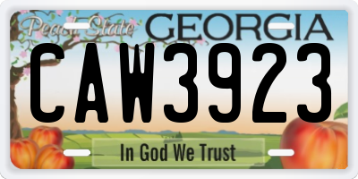 GA license plate CAW3923