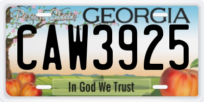 GA license plate CAW3925