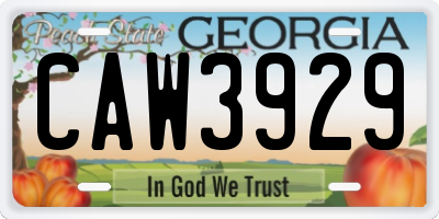GA license plate CAW3929