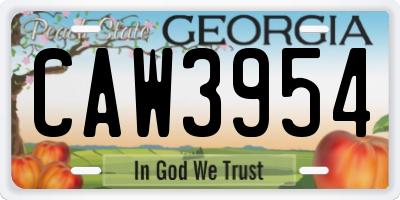 GA license plate CAW3954