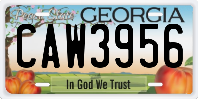 GA license plate CAW3956