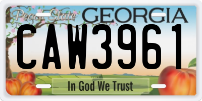 GA license plate CAW3961