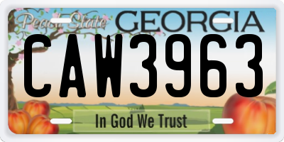 GA license plate CAW3963