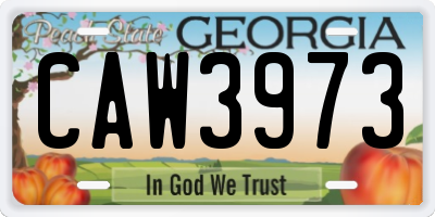 GA license plate CAW3973