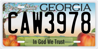 GA license plate CAW3978