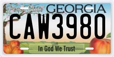 GA license plate CAW3980