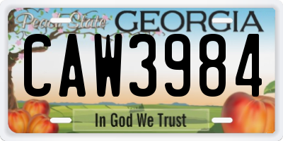 GA license plate CAW3984