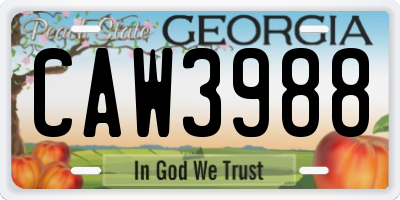 GA license plate CAW3988