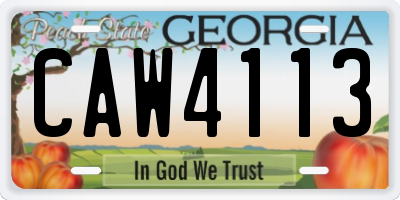 GA license plate CAW4113