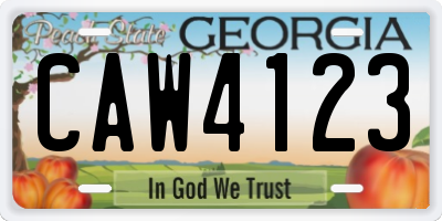 GA license plate CAW4123