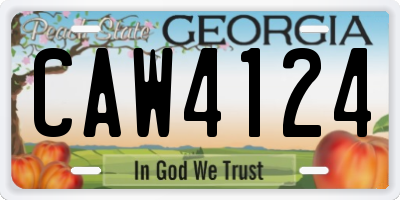 GA license plate CAW4124