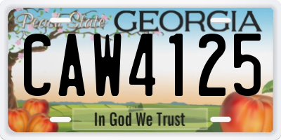 GA license plate CAW4125