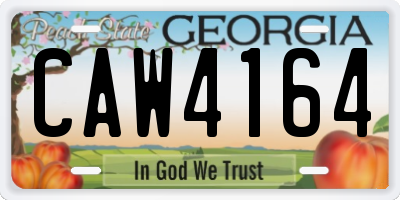 GA license plate CAW4164
