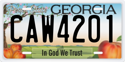 GA license plate CAW4201