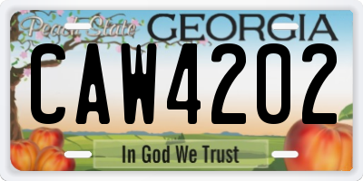 GA license plate CAW4202