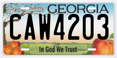 GA license plate CAW4203
