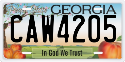 GA license plate CAW4205