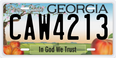 GA license plate CAW4213