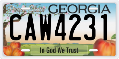 GA license plate CAW4231