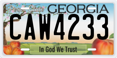 GA license plate CAW4233