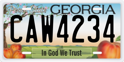 GA license plate CAW4234
