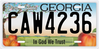 GA license plate CAW4236