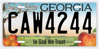 GA license plate CAW4244