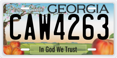 GA license plate CAW4263