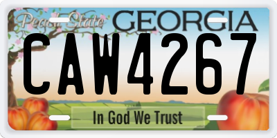 GA license plate CAW4267