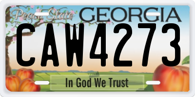 GA license plate CAW4273