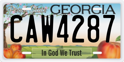 GA license plate CAW4287