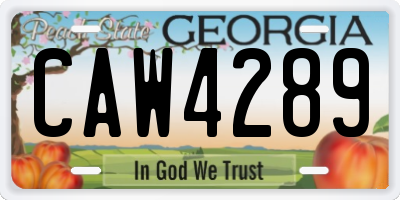 GA license plate CAW4289
