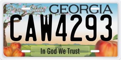 GA license plate CAW4293