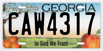 GA license plate CAW4317