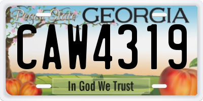 GA license plate CAW4319