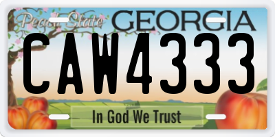 GA license plate CAW4333