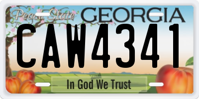 GA license plate CAW4341