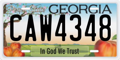 GA license plate CAW4348